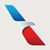 American Airlines Group Inc